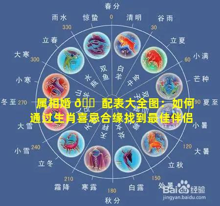 属相婚 🐠 配表大全图：如何通过生肖喜忌合缘找到最佳伴侣